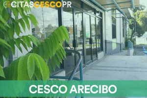 Cesco Arecibo