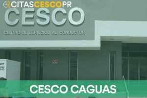 Cesco Caguas