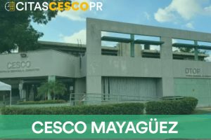 Cesco Mayagüez