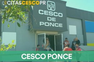 Cesco Ponce