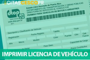 Imprimir licencia de vehículo en línea