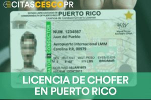 Licencia de chofer en Puerto Rico