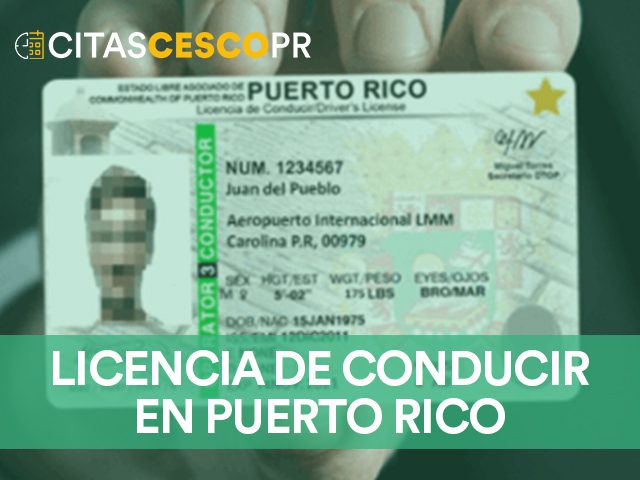 Duplicado De Licencia De Conducir Puerto Rico Image To U duplicado-de-licencia-de-conducir-puerto-rico-image-to-u