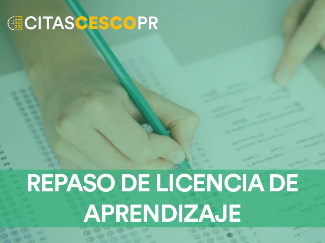 repaso de la licencia de aprendizaje